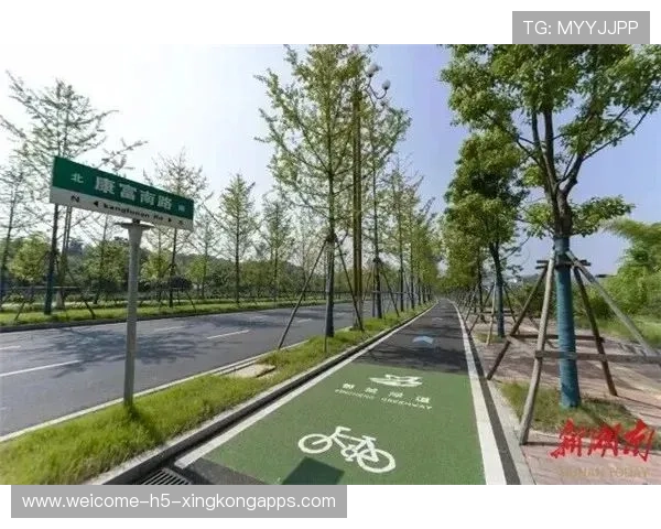 世界自行车城市绿道联赛：公共空间运动化趋势明显，世界自行车场地锦标赛