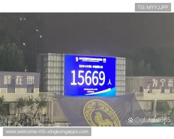 球迷观赛证件被盗后的补救措施与申诉流程，球员参赛证查询
