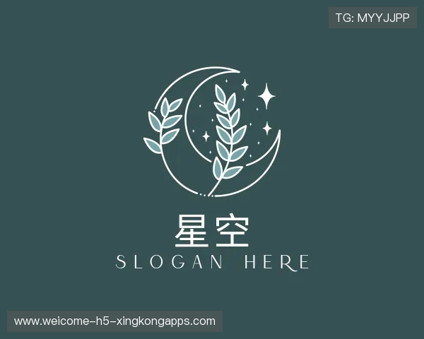 解读星空体育app